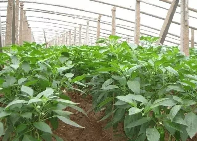 ETS（天津）生物科技發展有限公司